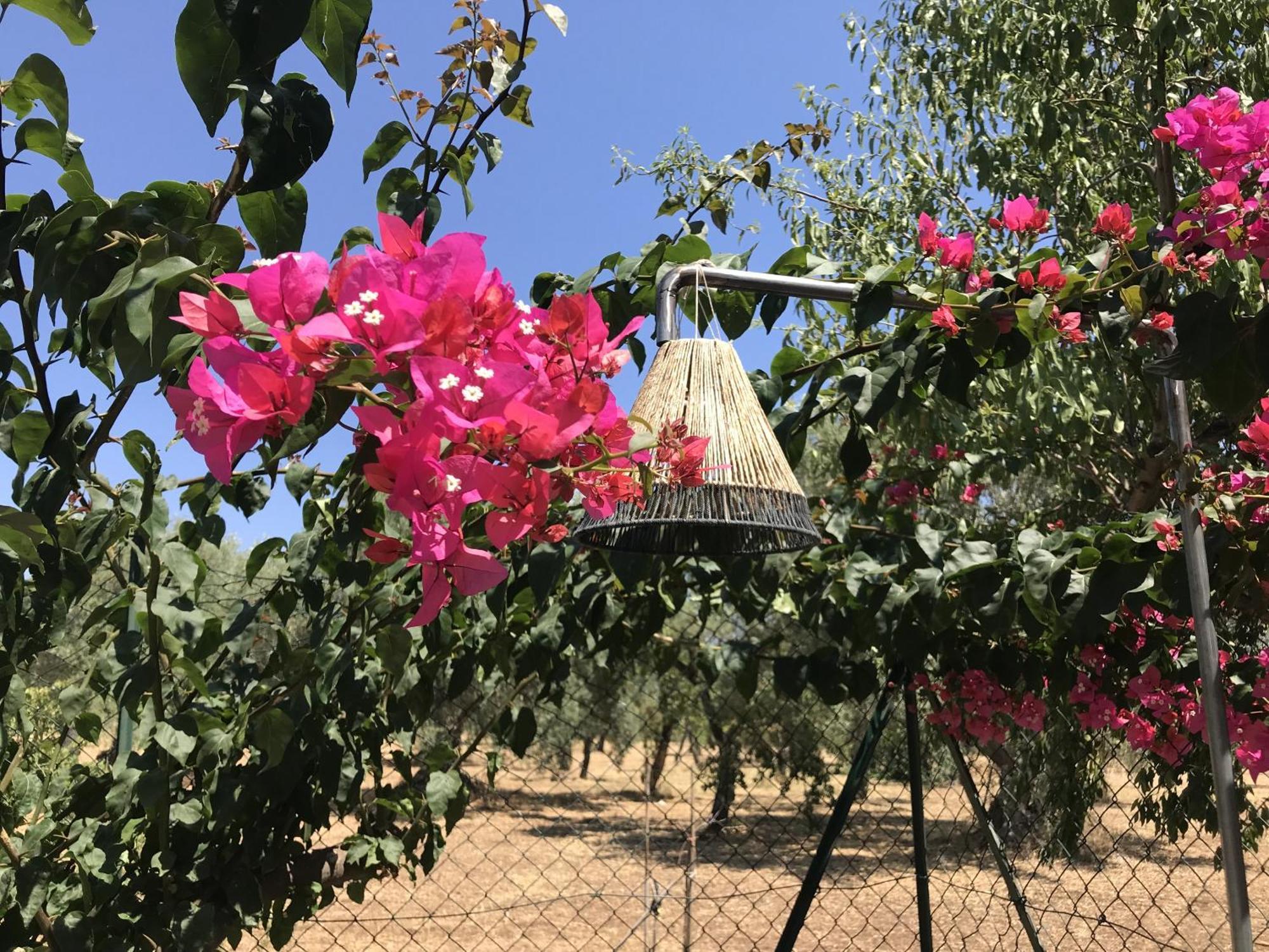 Casapiuholidaysicilia-Adults Only Noto Room photo